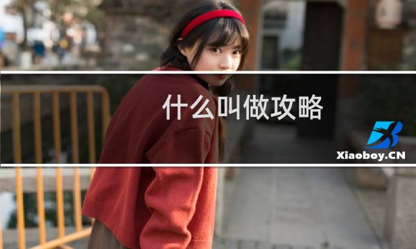 什么叫做攻略