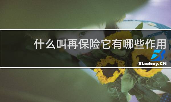 什么叫再保险它有哪些作用