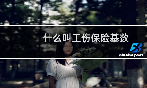 什么叫工伤保险基数