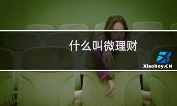 什么叫微理财
