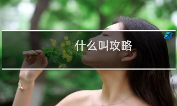 什么叫攻略