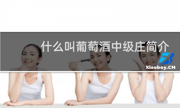 什么叫葡萄酒中级庄简介