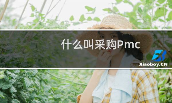 什么叫采购Pmc