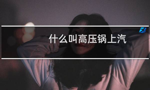 什么叫高压锅上汽