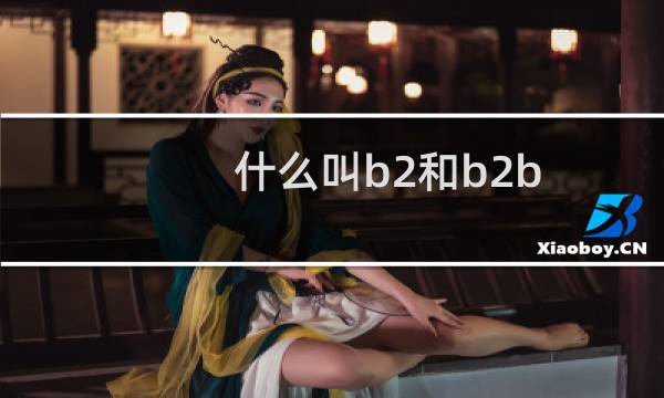 什么叫b2和b2b