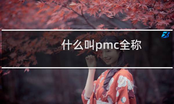 什么叫pmc全称