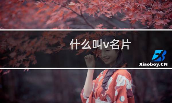 什么叫v名片