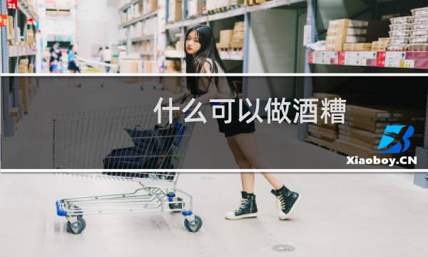 什么可以做酒糟