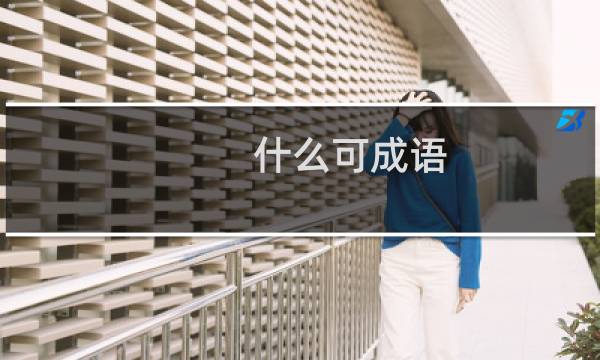 什么可成语