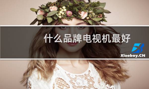 什么品牌电视机最好