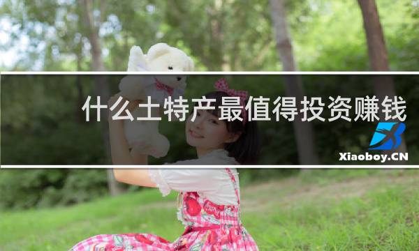 什么土特产最值得投资赚钱