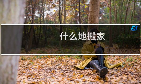 什么地搬家