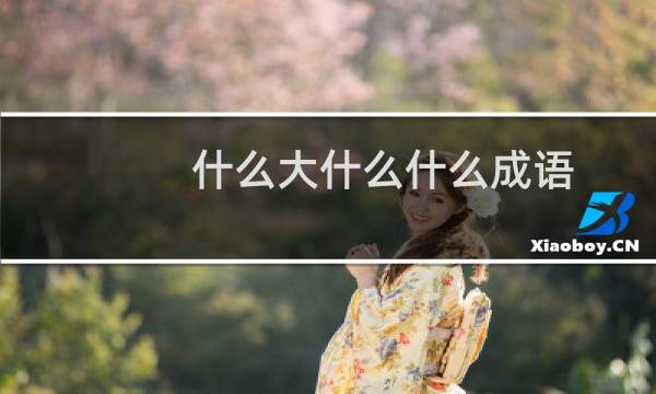 什么大什么什么成语