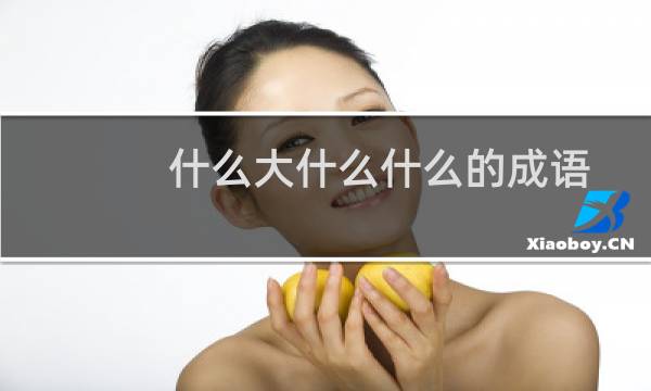 什么大什么什么的成语