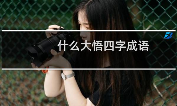 什么大悟四字成语