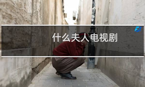 什么夫人电视剧