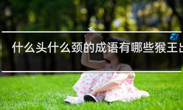 什么头什么颈的成语有哪些猴王出世