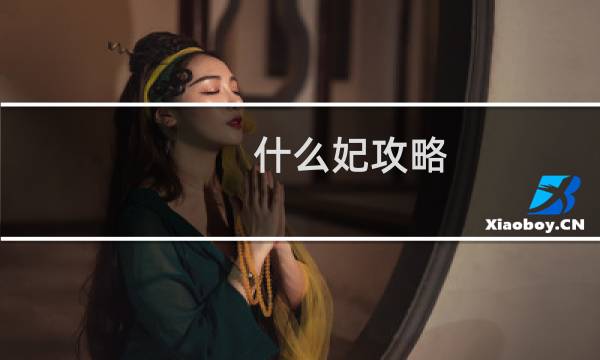 什么妃攻略