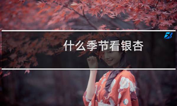 什么季节看银杏