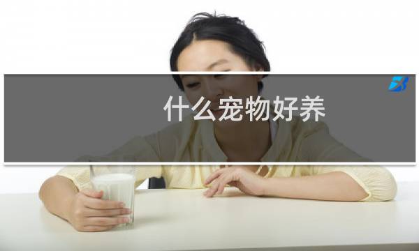 什么宠物好养 通人性