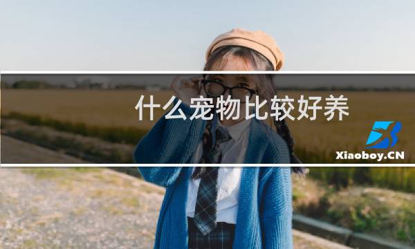 什么宠物比较好养