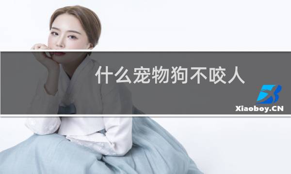 什么宠物狗不咬人