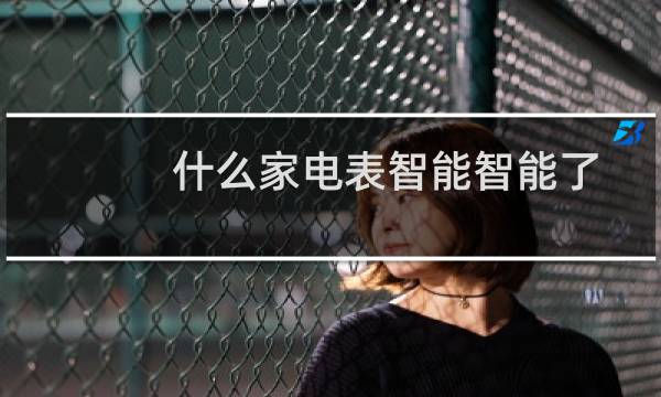 什么家电表智能智能了