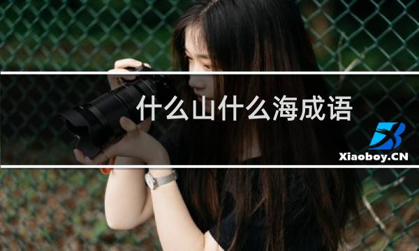 什么山什么海成语