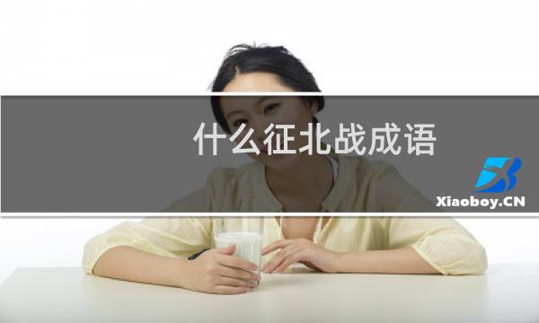 什么征北战成语