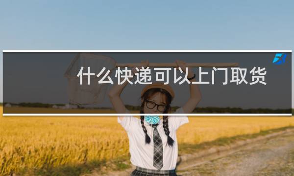 什么快递可以上门取货