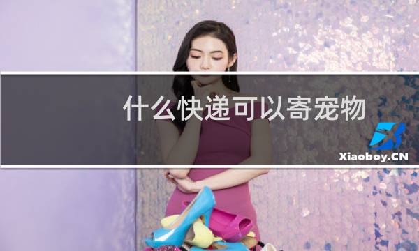 什么快递可以寄宠物