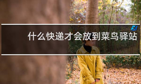 什么快递才会放到菜鸟驿站