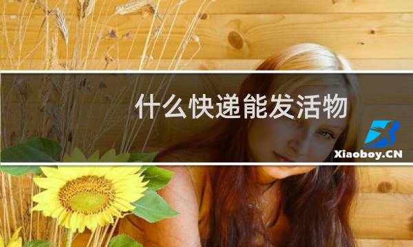 什么快递能发活物