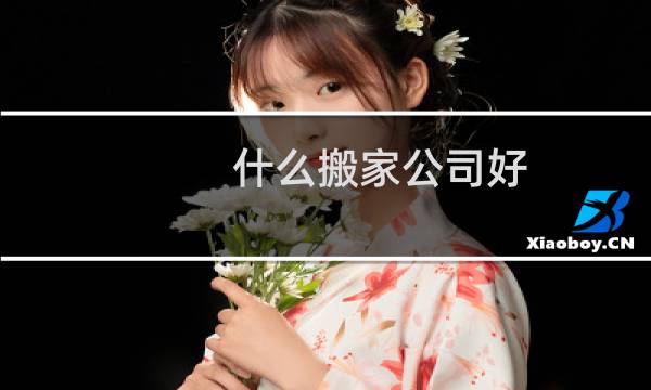 什么搬家公司好