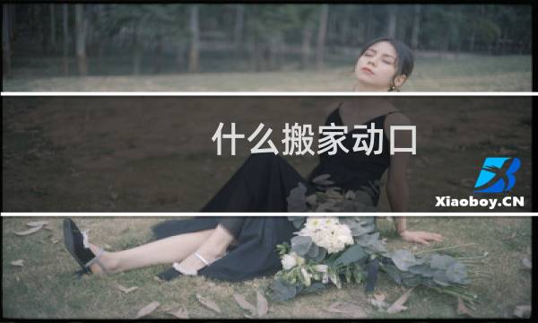 什么搬家动口