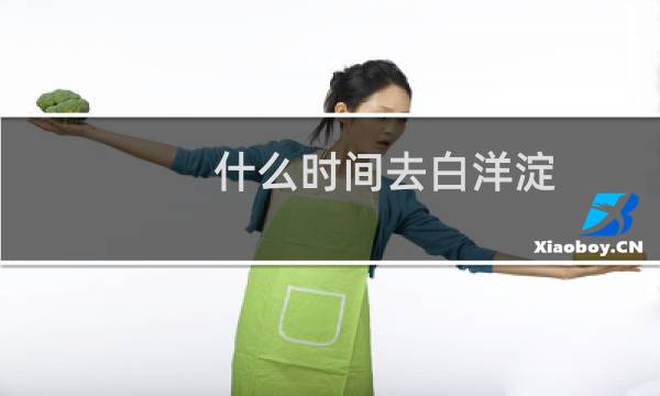什么时间去白洋淀
