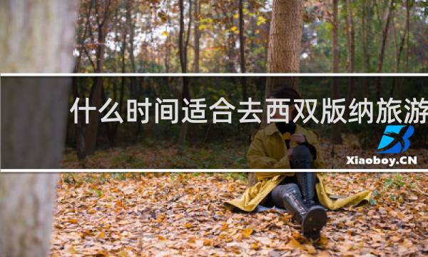 什么时间适合去西双版纳旅游