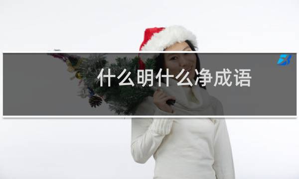 什么明什么净成语