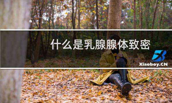 什么是乳腺腺体致密