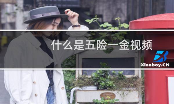 什么是五险一金视频