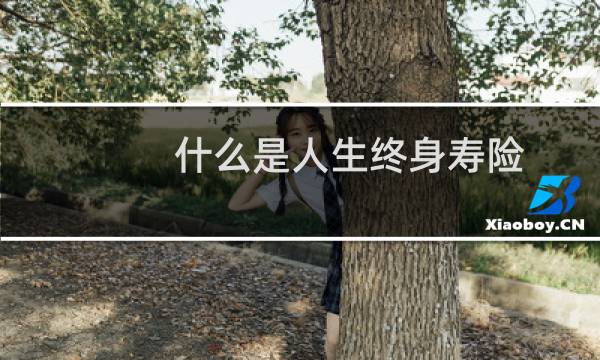 什么是人生终身寿险