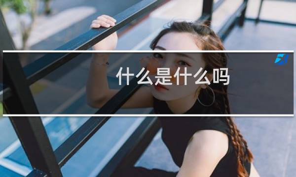 什么是什么吗?