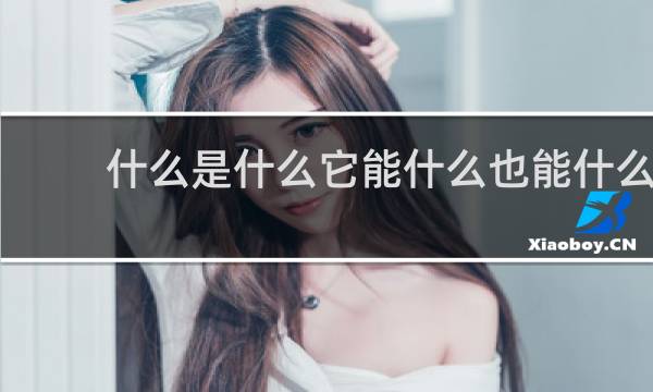 什么是什么它能什么也能什么