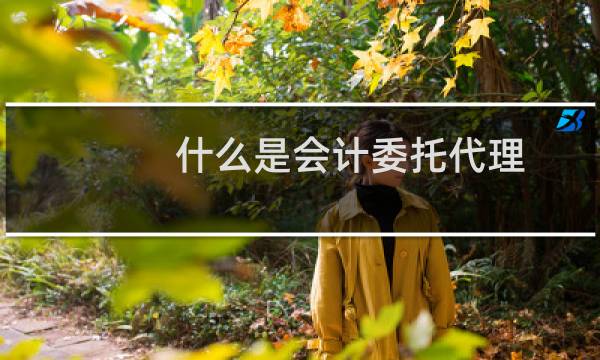 什么是会计委托代理