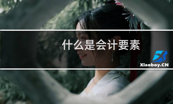 什么是会计要素