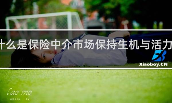 什么是保险中介市场保持生机与活力的制度