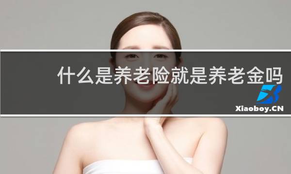 什么是养老险就是养老金吗