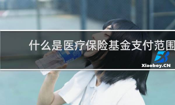 什么是医疗保险基金支付范围