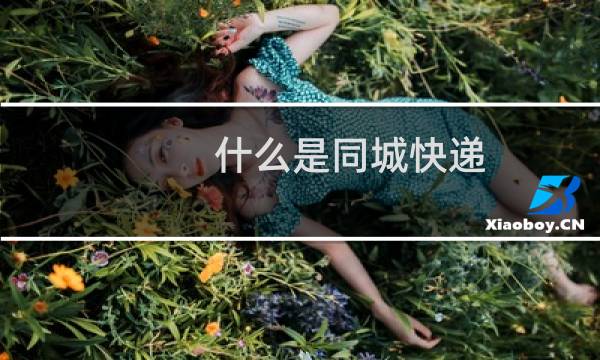 什么是同城快递