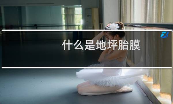 什么是地坪胎膜